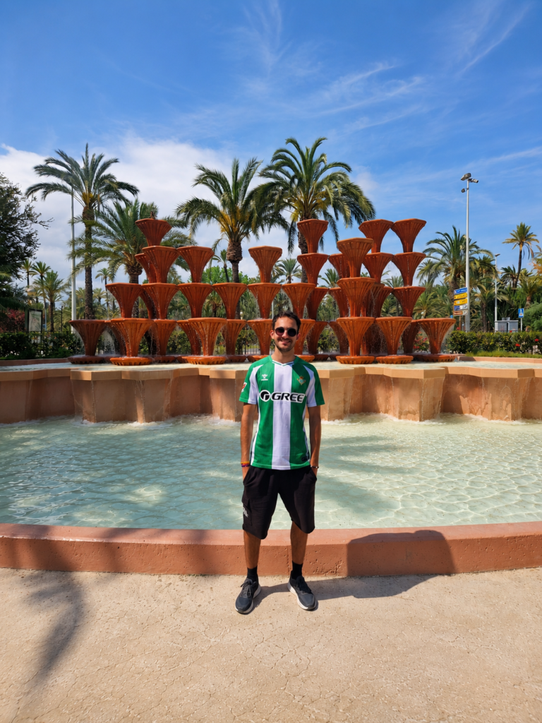 Program elche1